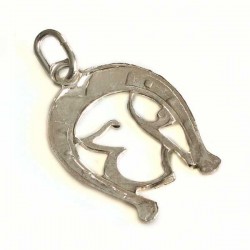 Ferro di cavallo con 13